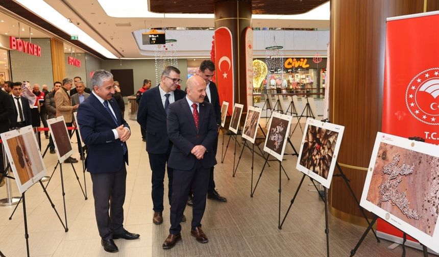 Adıyaman Valisi Varol 'Tarım, Orman ve İnsan' sergisini ziyaret etti