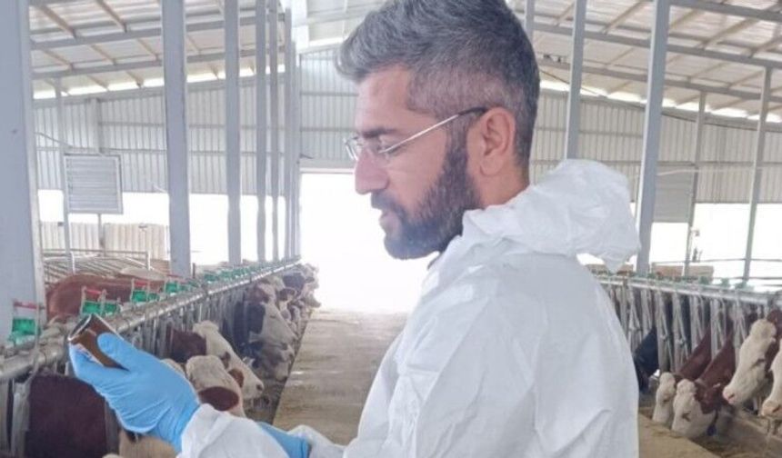 Adıyaman’da şap aşılaması il genelinde sürüyor