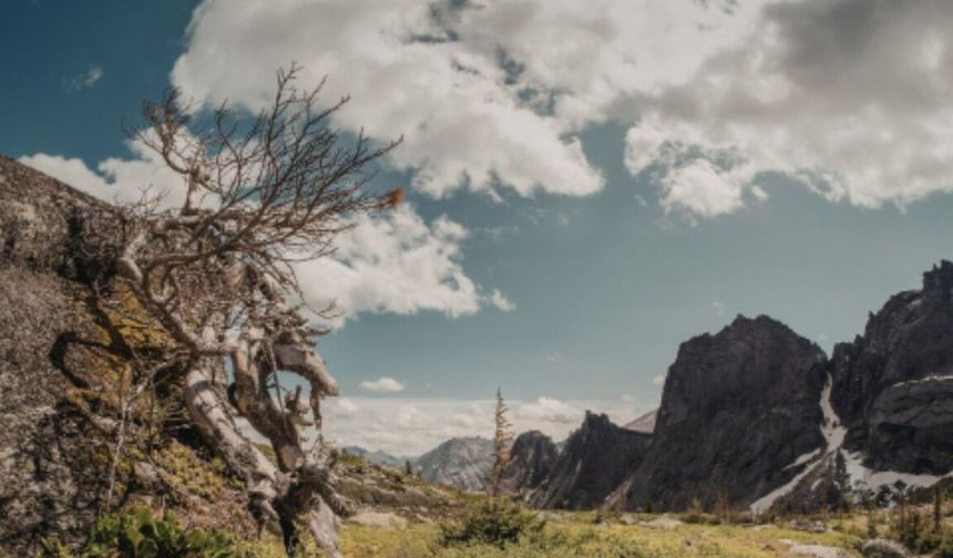 Adıyaman'da 1 Mart Pazar günü hava durumu nasıl olacak?