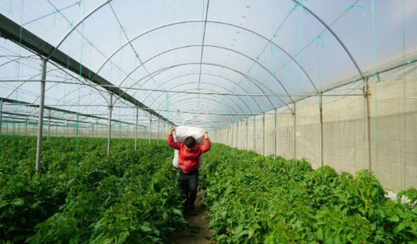 Adıyaman'da Sera Projesi için başvurular devam ediyor