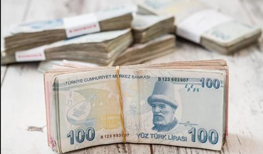 Maliye Bakanlığı Yüksek Gelirli 16 Bin Mükellefi Takibe Aldı