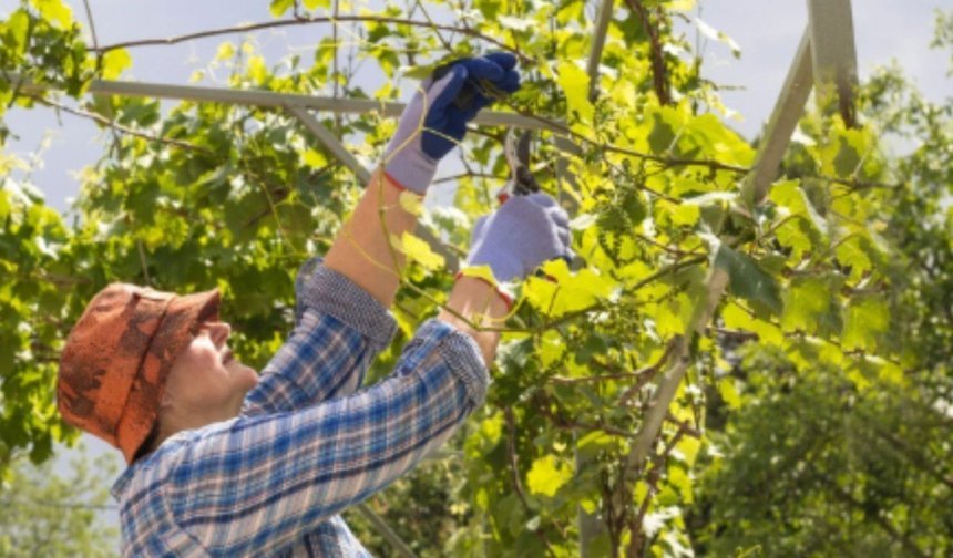 Adıyaman'da Alet, Ekipman ve Makine Dağıtım Töreni düzenlenecek