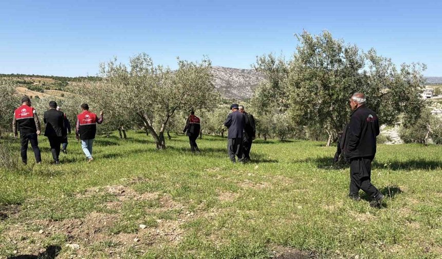Dolu sonrası hasar tespit çalışmaları başladı