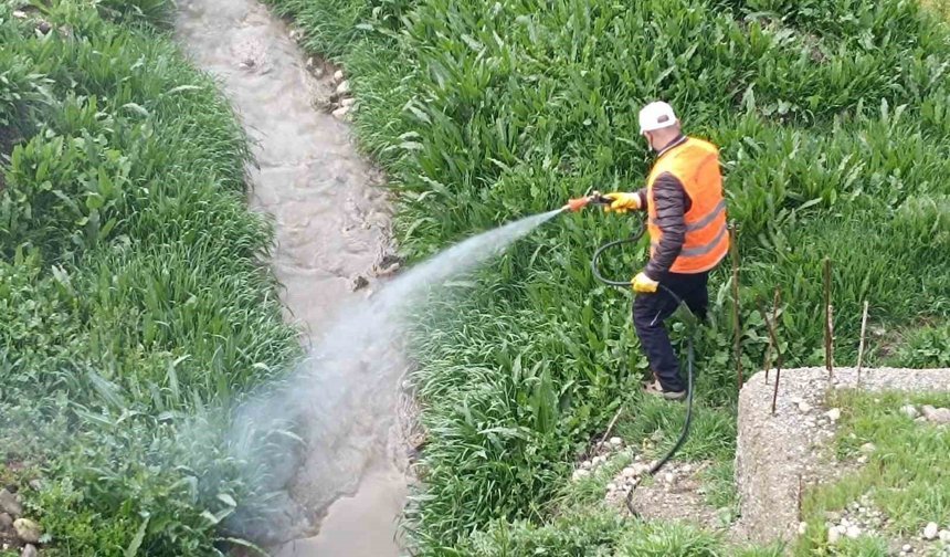 Kahta Belediyesi'nden haşerelere karşı yoğun mücadele