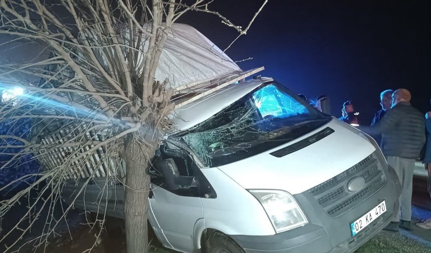 Kamyonet şarampolde ağaca çarptı: 1 yaralı