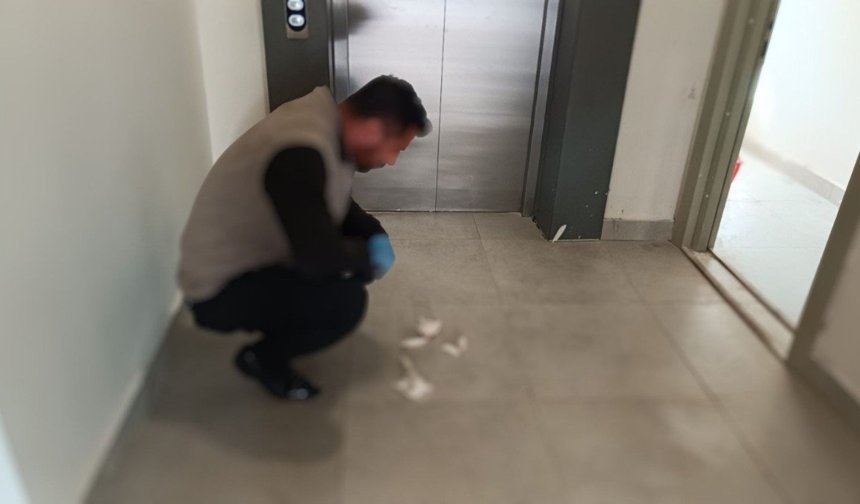 Besni'de yavru kedi parçalanmış halde bulundu