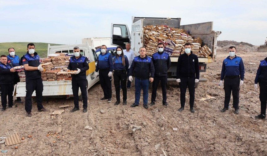 Haliliye'de 5 bin koli yumurtaya el konuldu