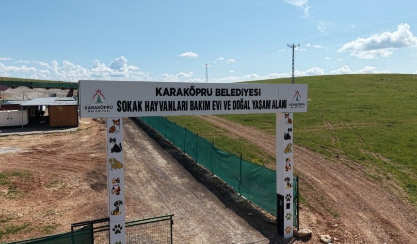 Karaköprü'de sokak hayvanları için doğal yaşam alanı genişletiliyor