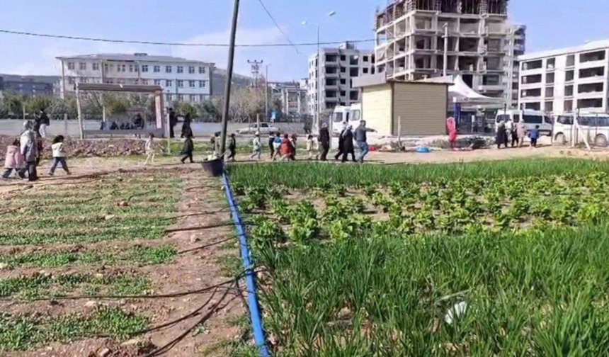 Öğrenciler, Adıyaman Belediyesi'nin sebze bahçesinde incelemelerde bulundu - Videolu Haber