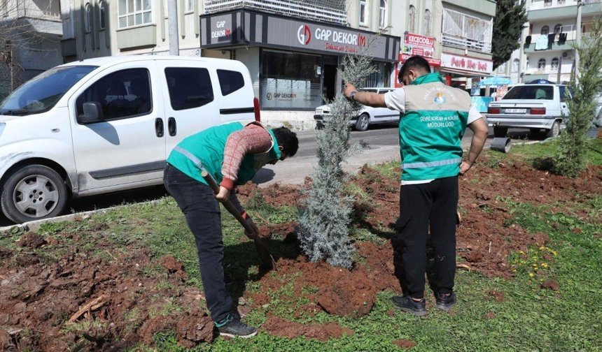 Şanlıurfa Haliliye Belediyesinde yaz öncesi parklarda bakım çalışmaları devam ediyor