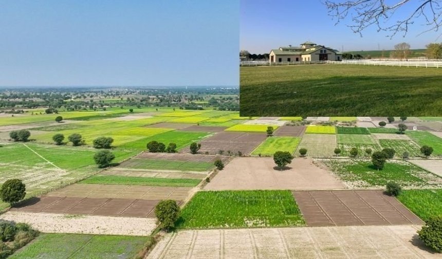 Tarım arazilerinde yeni dönem: Kaçak yapılar bir ay içinde yıkılacak