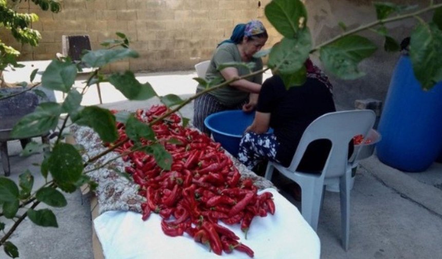 'Tükettiğimiz Dünya' etkinlikleri devam ediyor: Belgesel gösterimi sonrası forum düzenlenecek