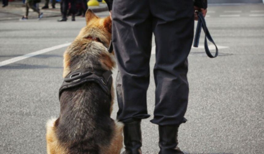 24 İlde Siber Suç Operasyonu: 212 Gözaltı