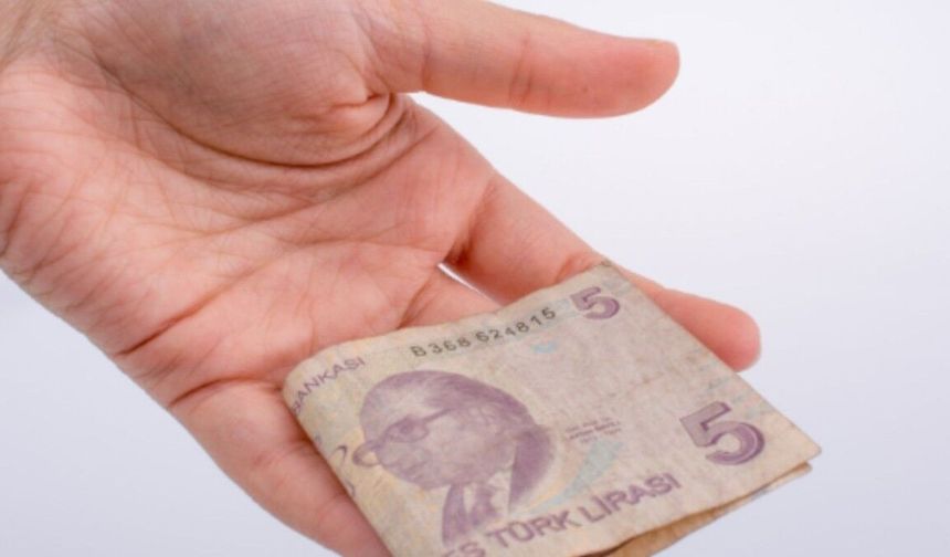 5 TL'nin arkasındaki isim: Ordinaryüs Profesör Aydın Sayılı kimdir, neden banknotta yer alıyor?