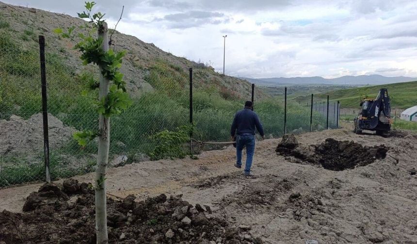 Adıyaman Belediyesi'nden 3 bin gezen tavuk için doğal yaşam alanı