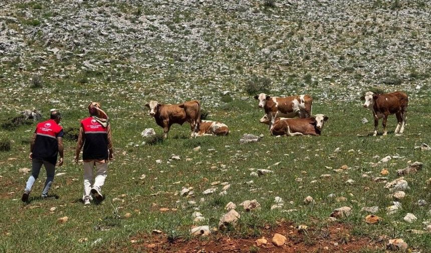 Adıyaman'da meralar için teknik inceleme