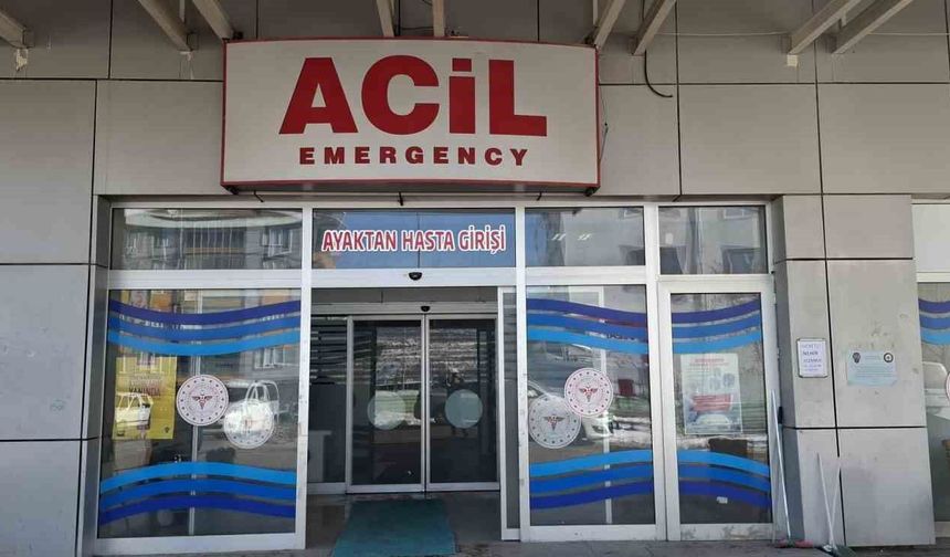 Adıyaman'da çağla yiyen 6 öğrenci hastanelik oldu