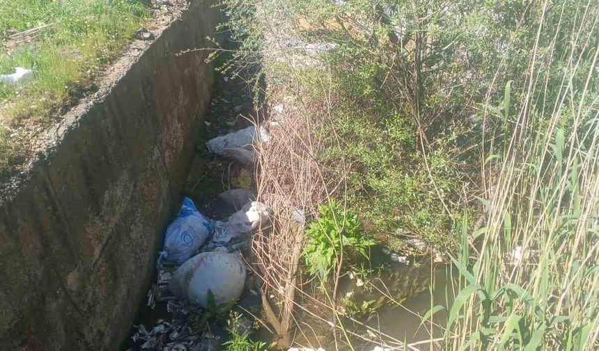 Gölbaşı'nda köylüler kanalların ilaçlanmasını istiyor