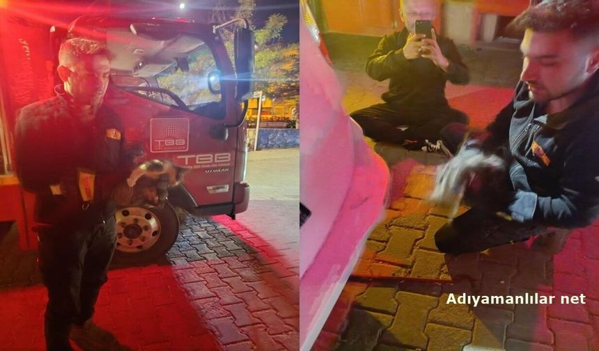 Besni'de Motor kısmına sıkışan kedi için seferber oldular
