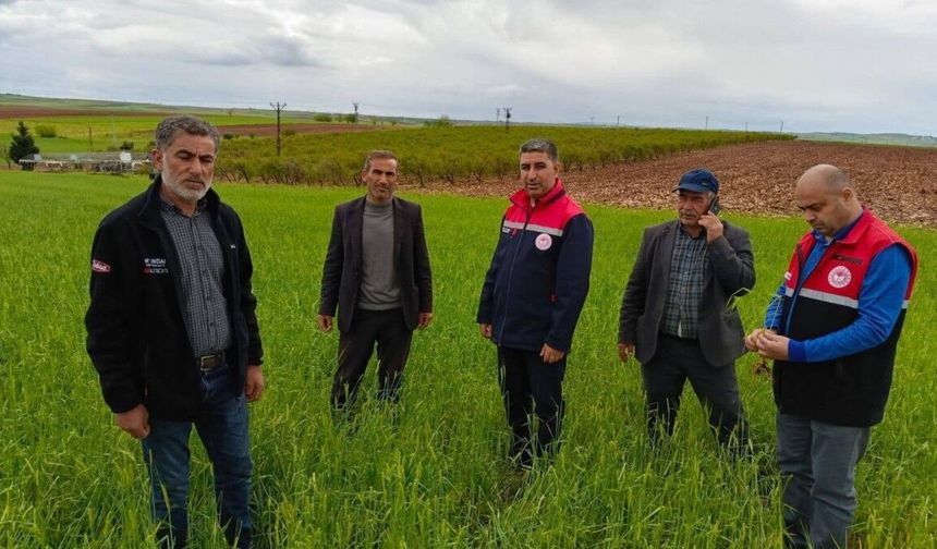Adıyaman’da Dolu Ve Yağış Tarımı Vurdu: Ekipler Sahada