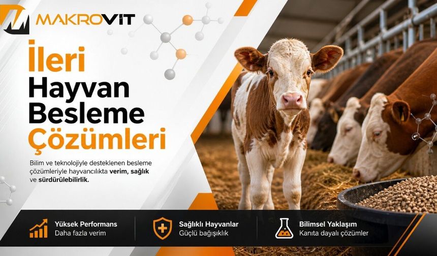Rumen Korumalı Kolin Nedir ve Geçiş Dönemi Sürü Yönetiminde Hangi Görevi Üstlenir?