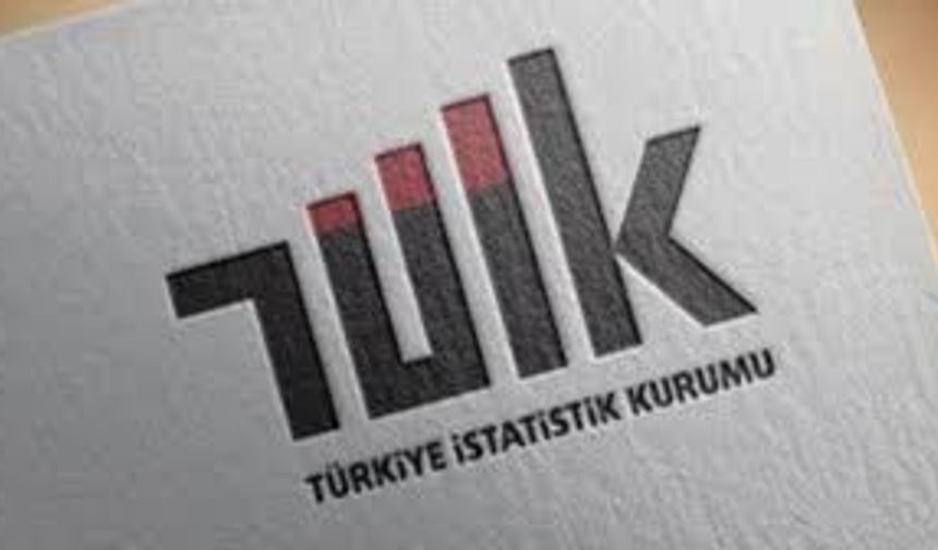 TÜİK açıkladı: Türkiye'nin suç tablosu, taciz ve dolandırıcılık zirvede: