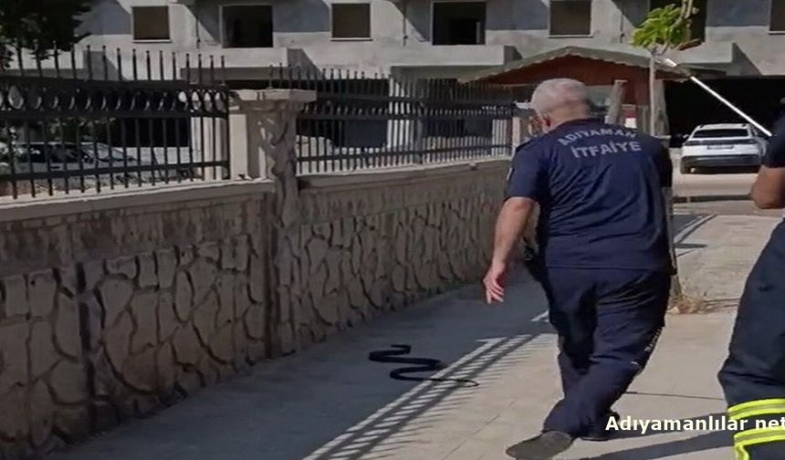 Adıyaman'da Hastane Yanında 2 Metrelik Yılan Yakalandı