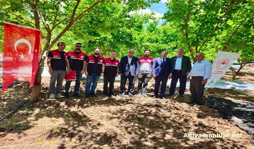 Adıyaman'da Coğrafi İşaretli Tut Dutunun Hasadı Başladı