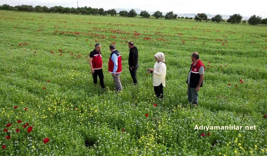 Adıyaman'da çiftçiler, kuraklık ve zirai dona dayanıklı ürünlere yöneldi