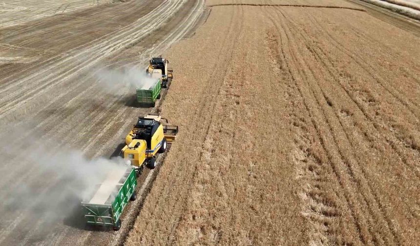 Adıyaman'da Buğday Ve Arpada Hasat Dönemi Başladı