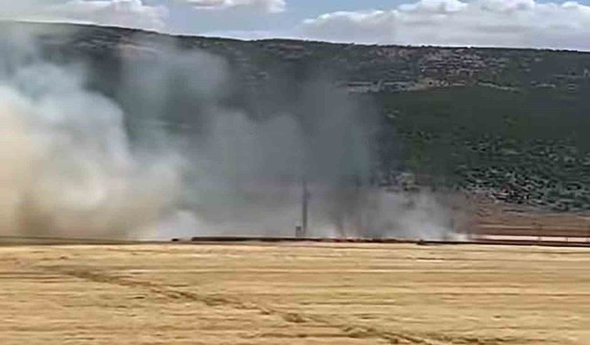 Araban'da Hasat Öncesi 93 Dönüm Buğday Kül Oldu