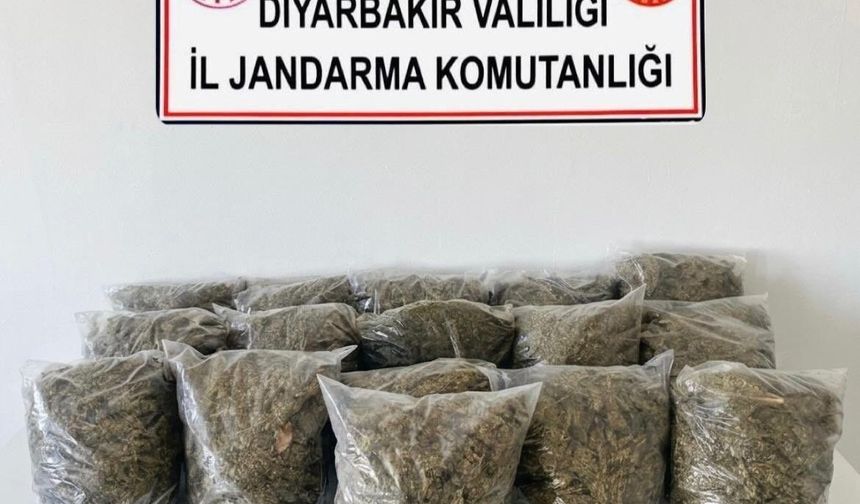 Diyarbakır'da Esrar Operasyonu, 11 Şüpheliye İşlem