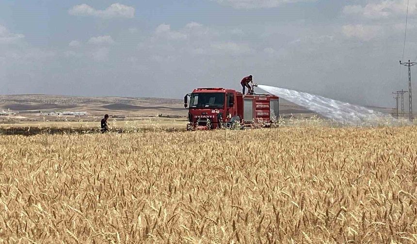 Mardin'de 300 Dönüm Ekili Alan Yangında Zarar Gördü