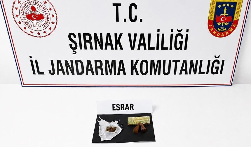 Şırnak'ta jandarma son 1 haftada 104 şüpheli hakkında işlem yaptı