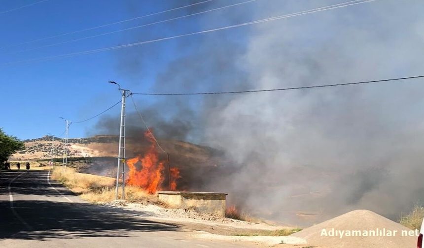 Akıma Kapılan Karga Bahçe Yangınına Yol Açtı