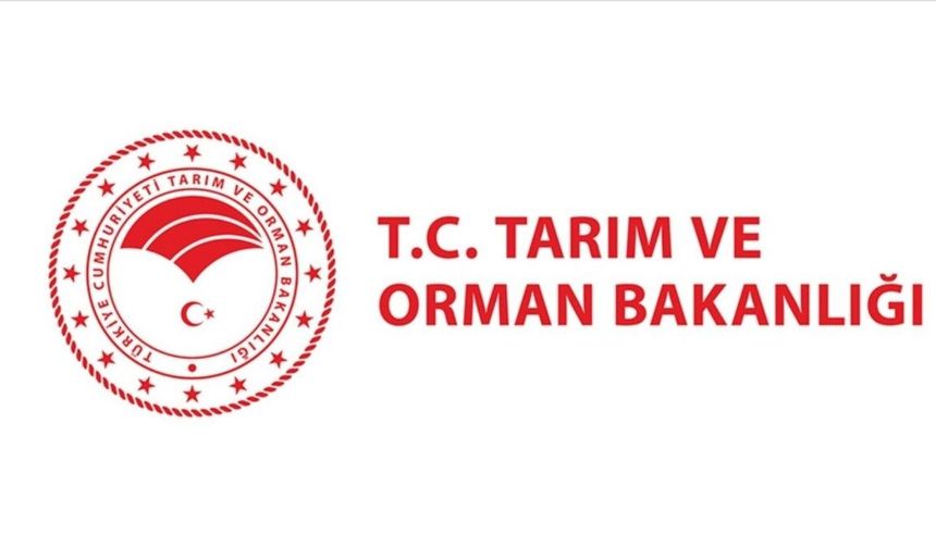 Alkollü İçki Reklamlarına Yeni Düzenleme Geldi