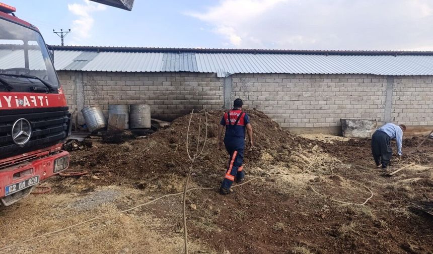 Besni'de 6 Köyde Çıkan Yangınlarda 1500 Hektar Zarar Gördü