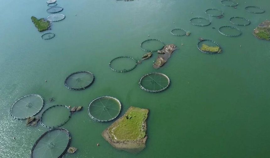Çat Barajı’ndaki Yüzen Adalar İçin Koruma Hamlesi Başlatıldı