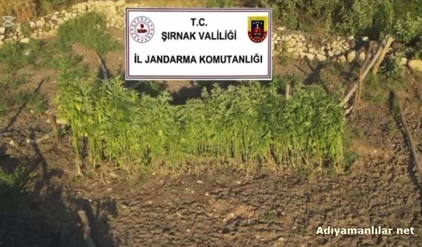 Şırnak Merkezli 3 İlde Narkotik Operasyonu: 5 Gözaltı