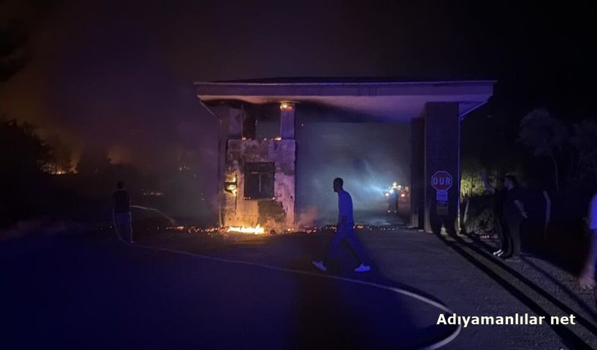 Adıyaman Ali Dağı'nda Orman Yangını Çıktı