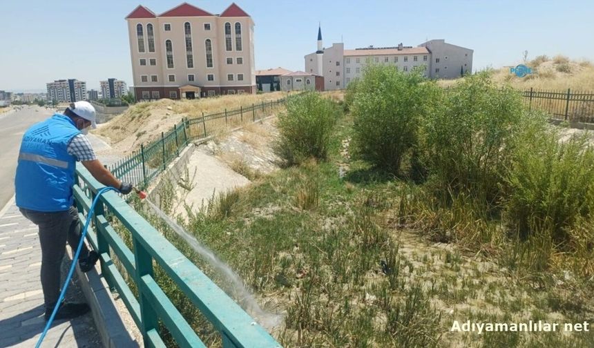 Adıyaman'da Haşereyle Mücadele Gece Gündüz Sürüyor