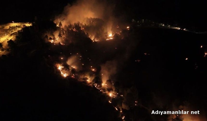 Adıyaman Ali Dağı Orman Yangınıyla İlgili Şüpheli Tutuklandı