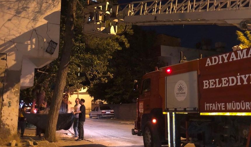 Ağaçta mahsur kalan kediyi itfaiye ekipleri kurtardı