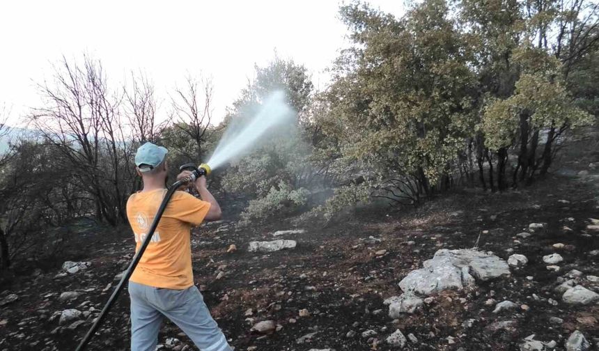 Orman yangını korkuttu