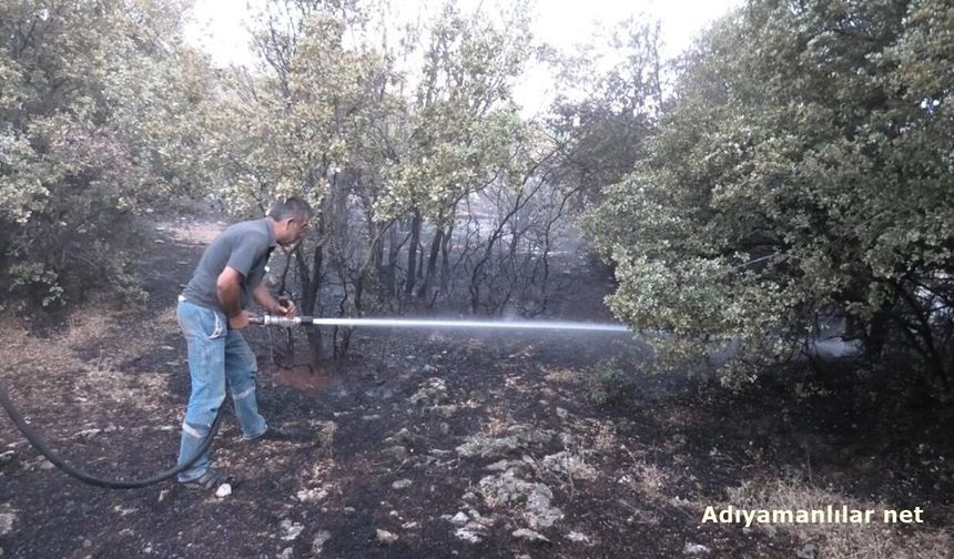 Besni'deki Orman Yangını Kontrol Altına Alındı