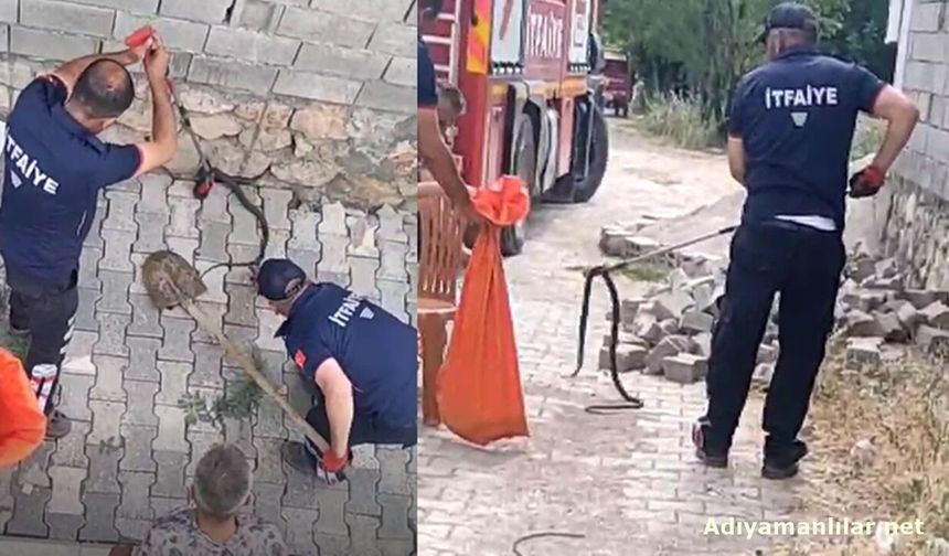 Gölbaşı Ozan Köyü'nde Eve Girmeye Çalışan Yılanlar Yakalandı