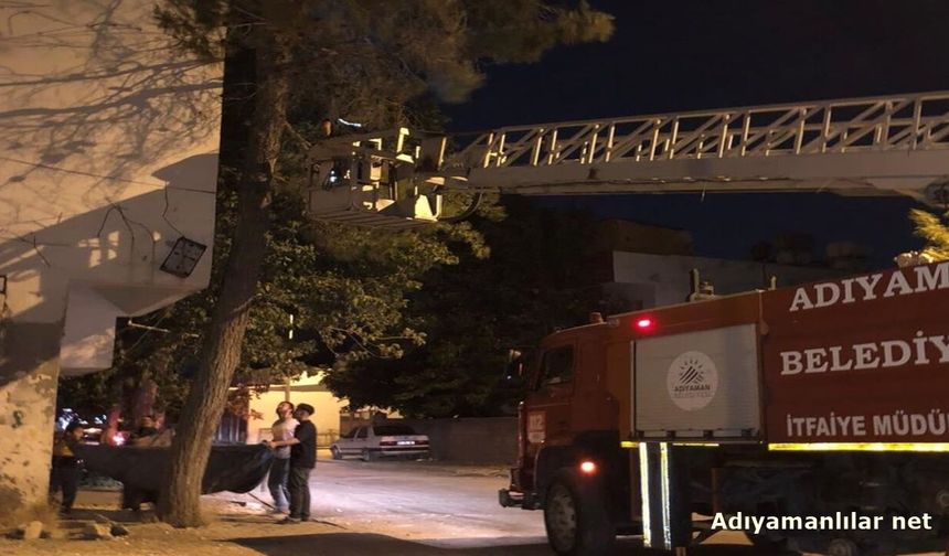 İtfaiye Mahsur Kalan Kediyi Kurtardı