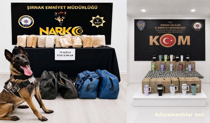 Şırnak'ta Kaçakçılık Operasyonunda 3 Tutuklama