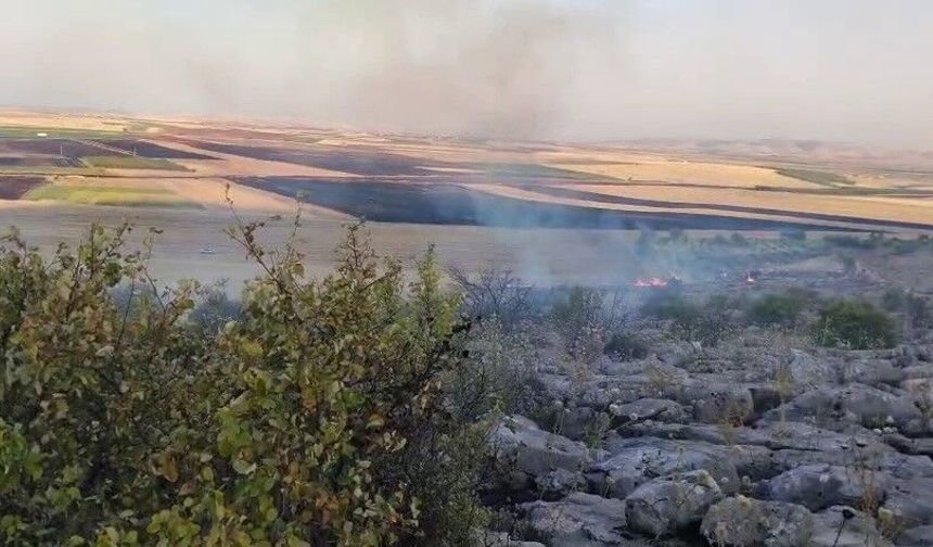 Besni'de ormanlık alanda çıkan yangın korkuttu