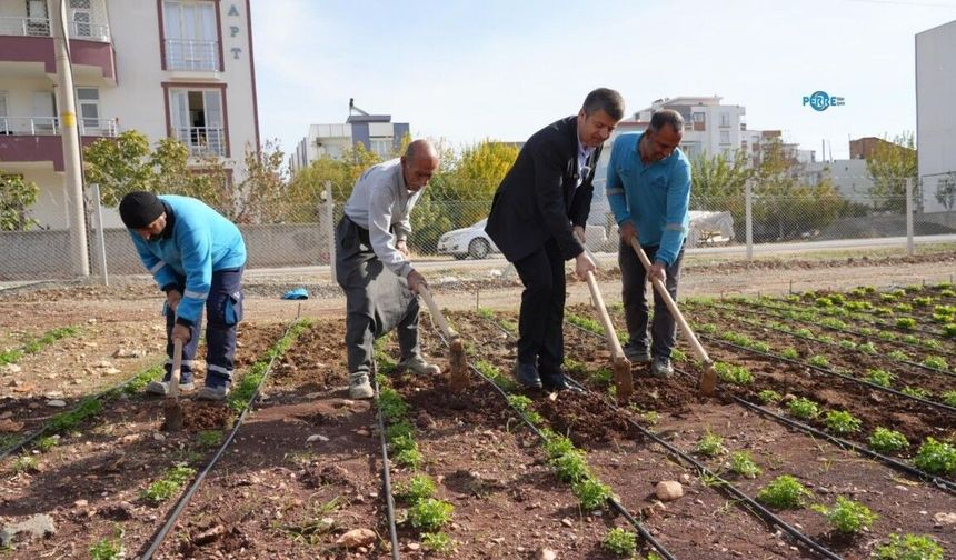 Adıyaman'da uygun fiyatlı ekmek, yumurta ve sebze vatandaşla buluştu